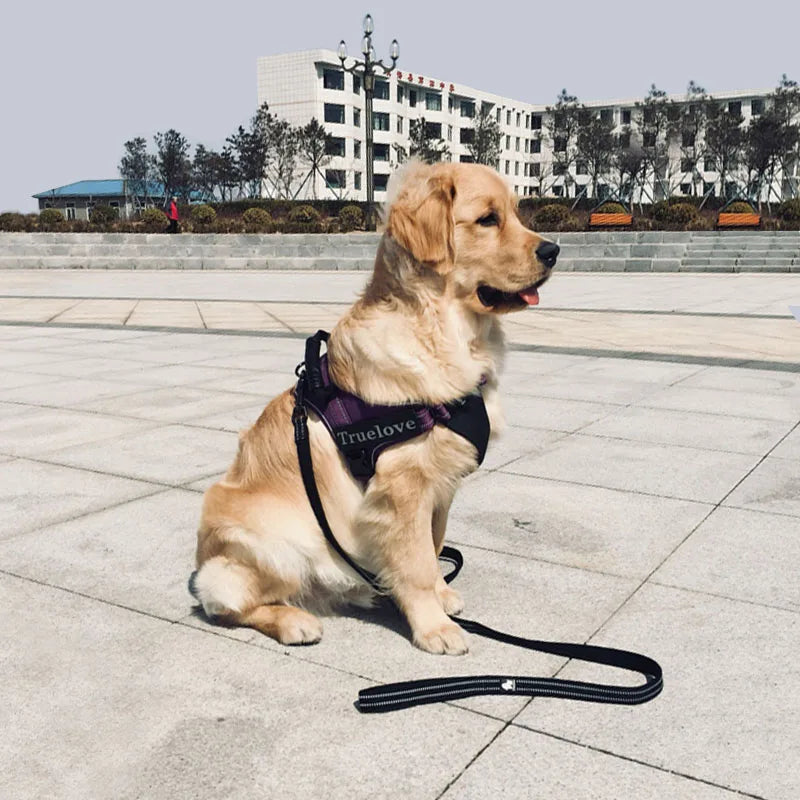 Truelove Soft Padded Mesh Dog Leash 3M Reflective Nylon Dog Leads Dog Pet Leash 11 Color 110cm Length Walking Training