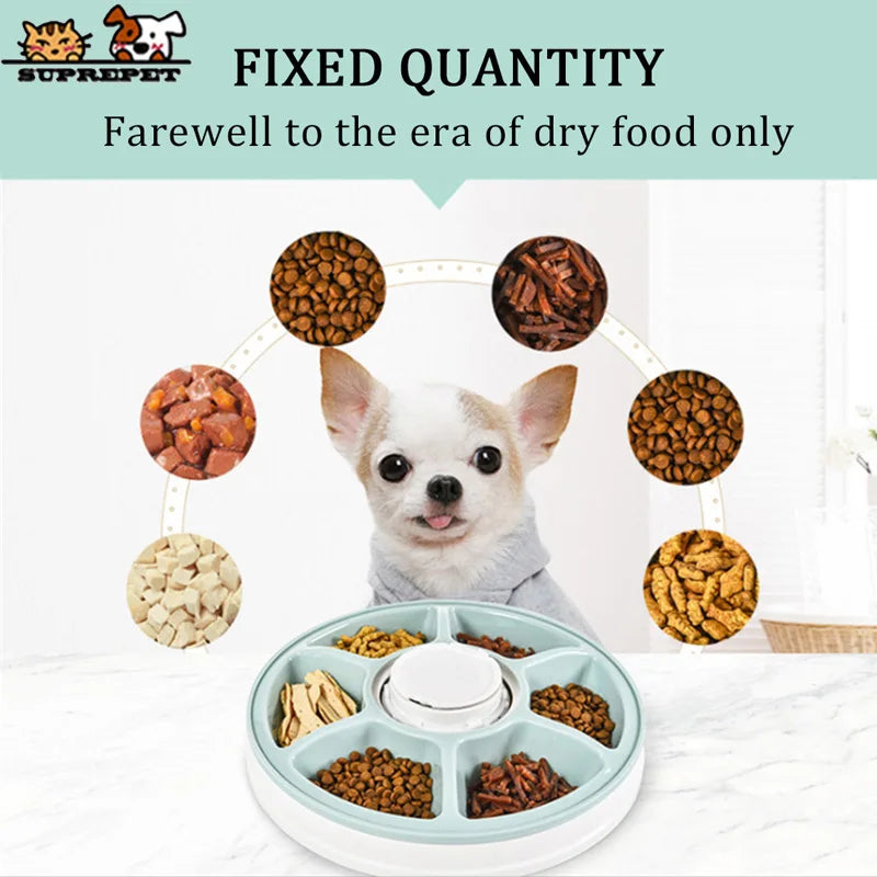 SUPREPET Dog Feeder Round Automatic Kitten Feeder 6 Meals Quantification Electric Dry Food Dispenser 24 Hours Feed Pet Supplies