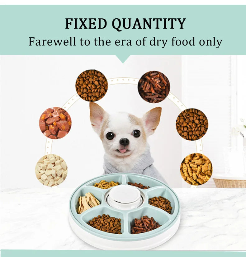 SUPREPET Dog Feeder Round Automatic Kitten Feeder 6 Meals Quantification Electric Dry Food Dispenser 24 Hours Feed Pet Supplies