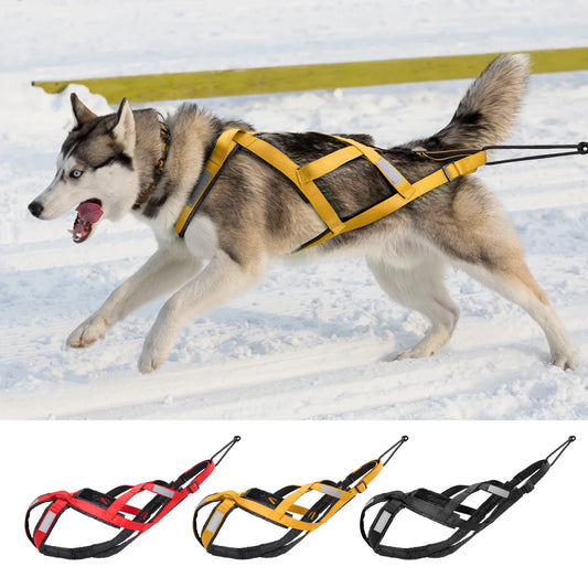 Dog Sled X Back Harness