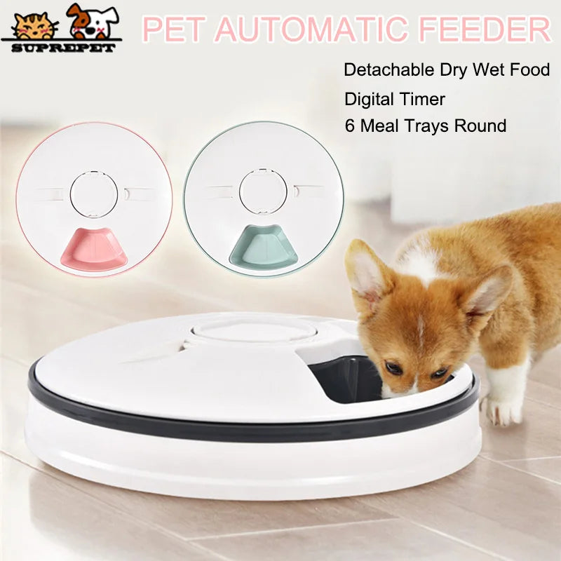 SUPREPET Dog Feeder Round Automatic Kitten Feeder 6 Meals Quantification Electric Dry Food Dispenser 24 Hours Feed Pet Supplies