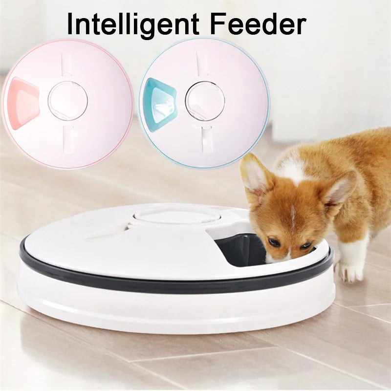 Pet Automatic Feeder Portion Control Digital Timer Detachable Dogs Cats Anti Slip 6 Meal Trays with Voice Recorder Dry Wet Food