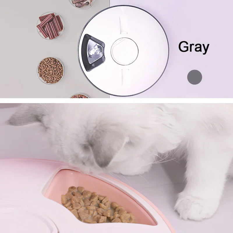 Pet Automatic Feeder Portion Control Digital Timer Detachable Dogs Cats Anti Slip 6 Meal Trays with Voice Recorder Dry Wet Food