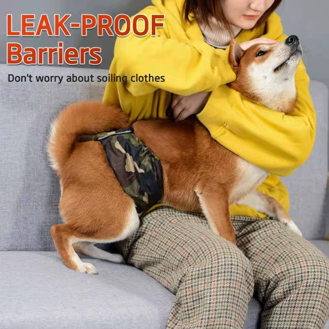 Special Summer Thin Teddy Belt Leak-Proof Male Dog