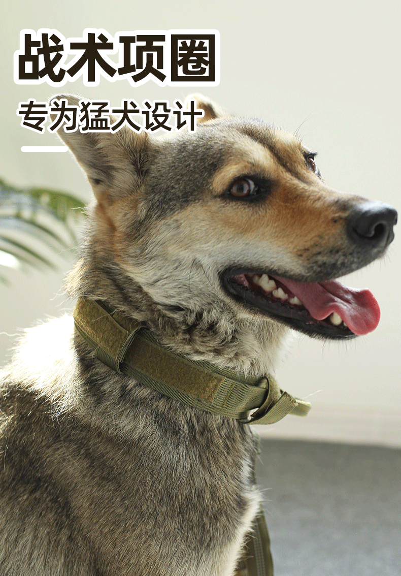 Dog Collar Explosion-Proof Dog Collar Medium Large Dog Collar German Shepherd Golden Retriever Walking Dog Collar a Bulldog Bandana Hand Holding Rope