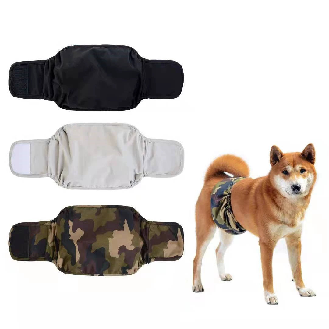 Special Summer Thin Teddy Belt Leak-Proof Male Dog