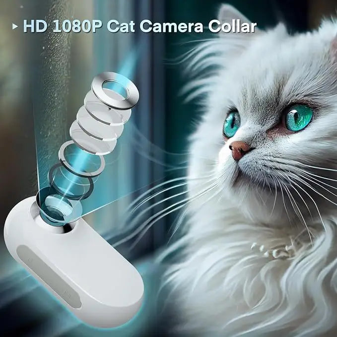 Pet Supplies Cat and Dog Collar Camera Outdoor Sports Camera Pet Recording