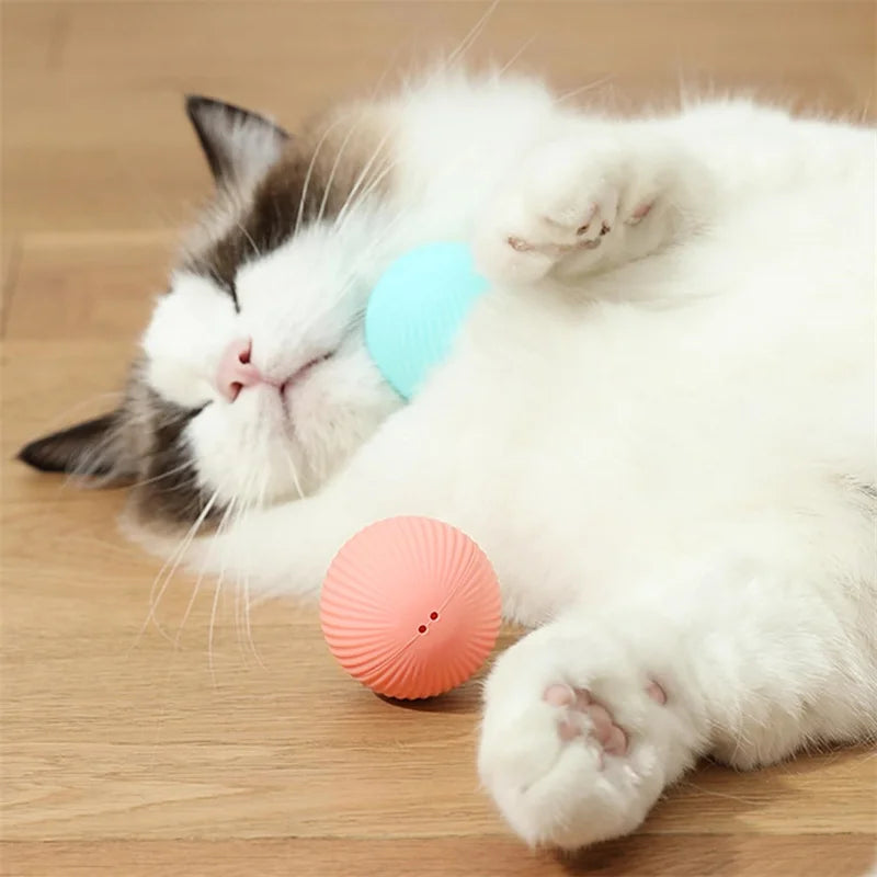 Electronic Smart Dog Ball Toy