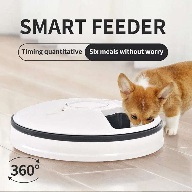 High Quality Fashion Design Microchip Pet Feeder 6 Separated Meal Trays Electric Cat Dog Food Bowl Automatic Pet Bowls & Feeders