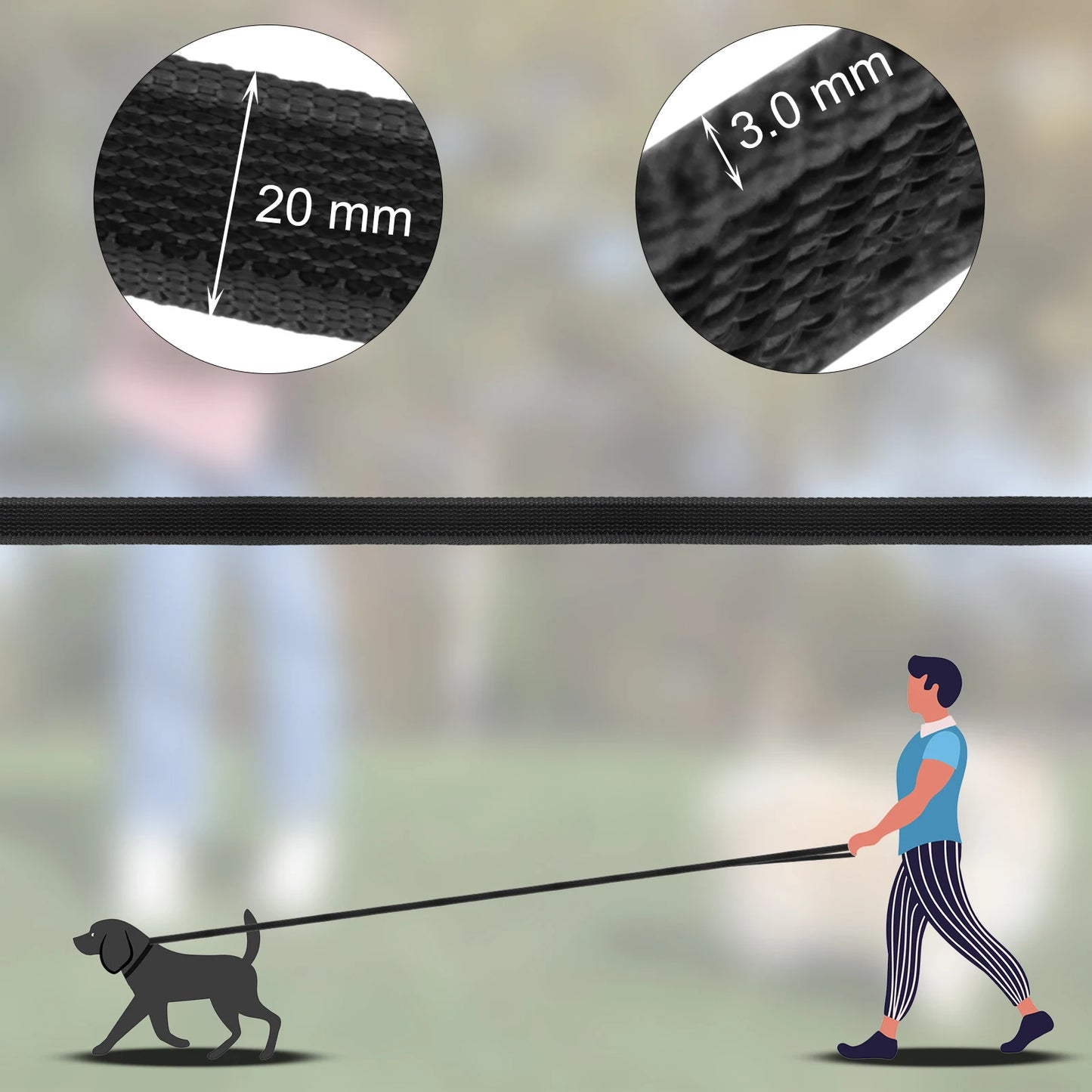 Training Leashes for Big to Small Dogs