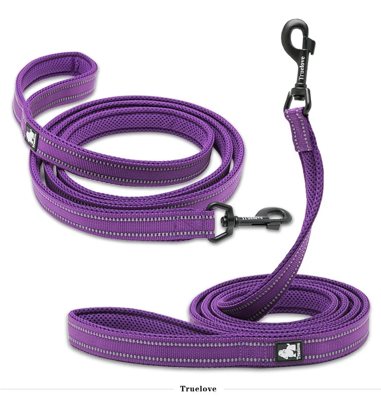 Winhyepet Nylon Dog Leash with Comfortable Padded Handle Heavy Duty Training Durable Pet Leash for Small Medium Large Dogs