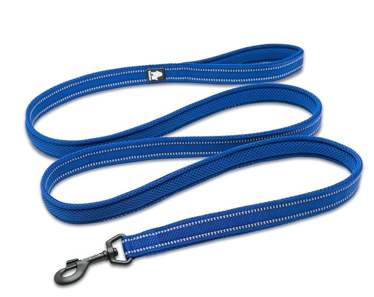 Winhyepet Nylon Dog Leash with Comfortable Padded Handle Heavy Duty Training Durable Pet Leash for Small Medium Large Dogs