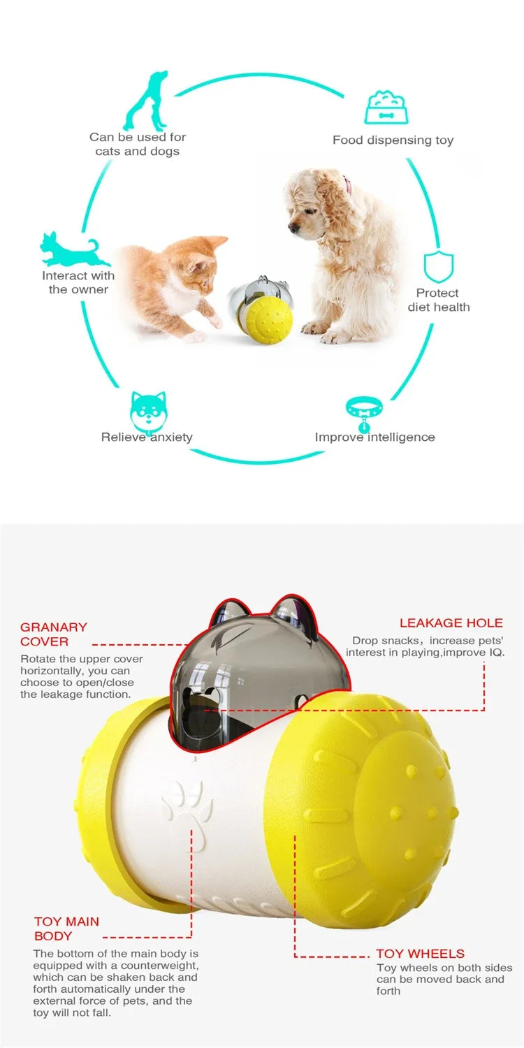 Interactive  Smart Food Dispenser