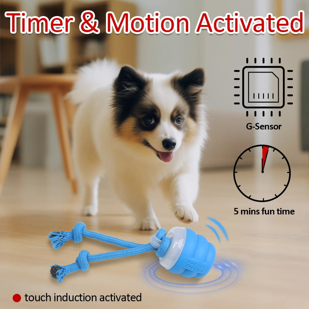 Smart Dog Toy Ball Motion Activated Interactive Small Dog Toys Rotating Teaser Ball Pet Puppy Cleaning Teeth Chew Toys Knot Rope