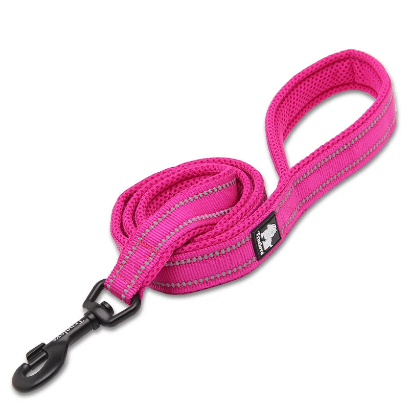 Winhyepet Nylon Dog Leash with Comfortable Padded Handle Heavy Duty Training Durable Pet Leash for Small Medium Large Dogs