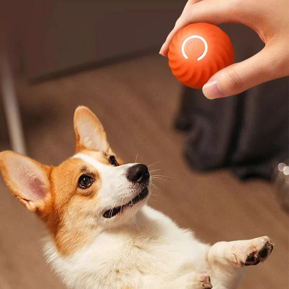 Electric Dog Ball Toys Smart Gravity Jump Moving Ball USB Rechargeable Automatic Rolling Ball For Cat Dog Interactive Pet Toy