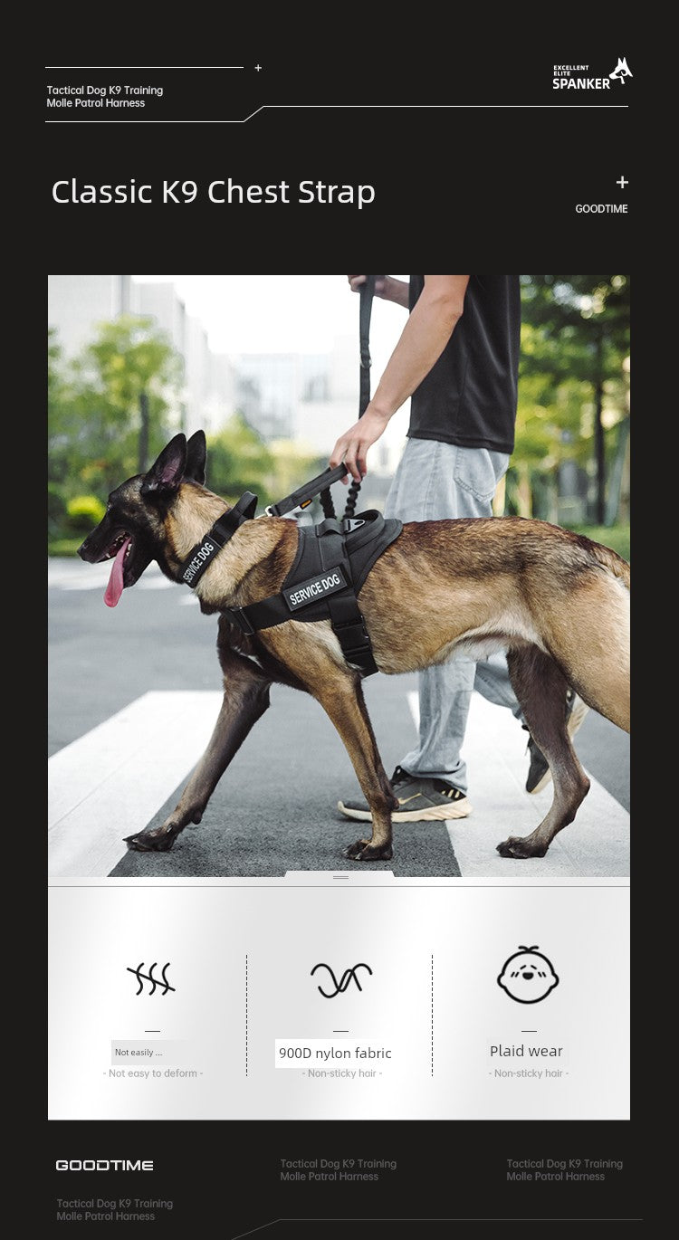 Transcendent Strap Malinois Special Dog Hand Holding Rope