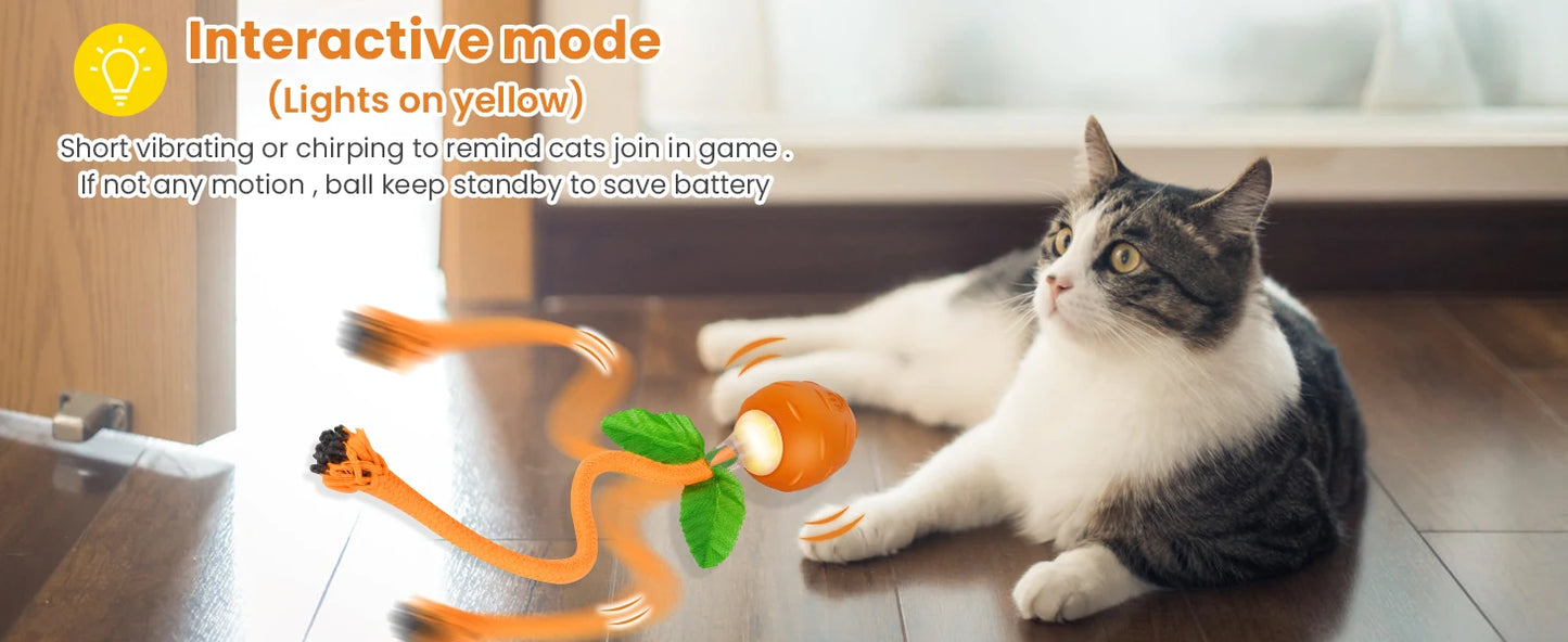 Interactive Cat Toy,3 Working Modes Irregular Motion Trajectory Cat Toys for Indoor Cats Self Play,Stimulates Cats Senses Funny