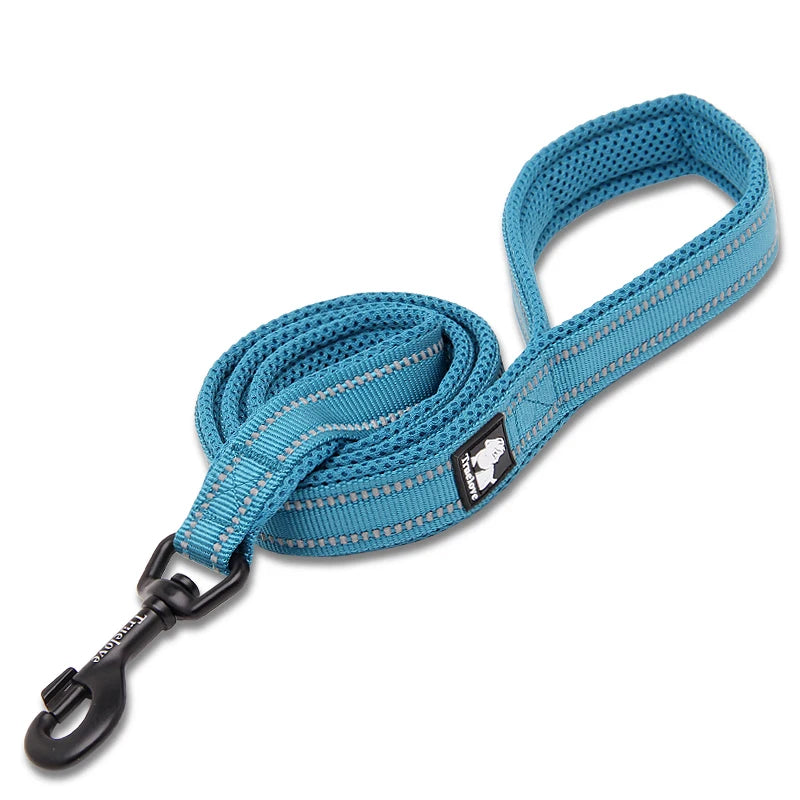 Winhyepet Nylon Dog Leash with Comfortable Padded Handle Heavy Duty Training Durable Pet Leash for Small Medium Large Dogs