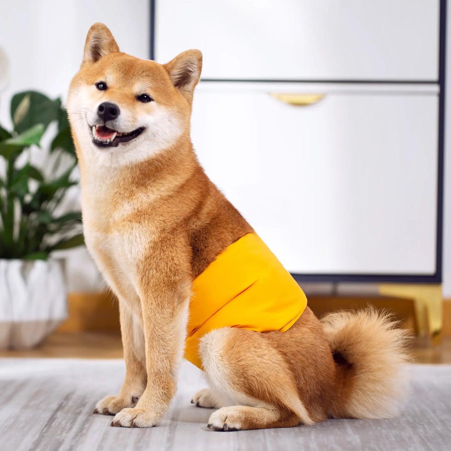 Washable Pet Dog Diapers Males Absorbent Adjustable Puppy Big Dog Physiological Pants for Dogs Reusable Pets Dogs Panties Shorts