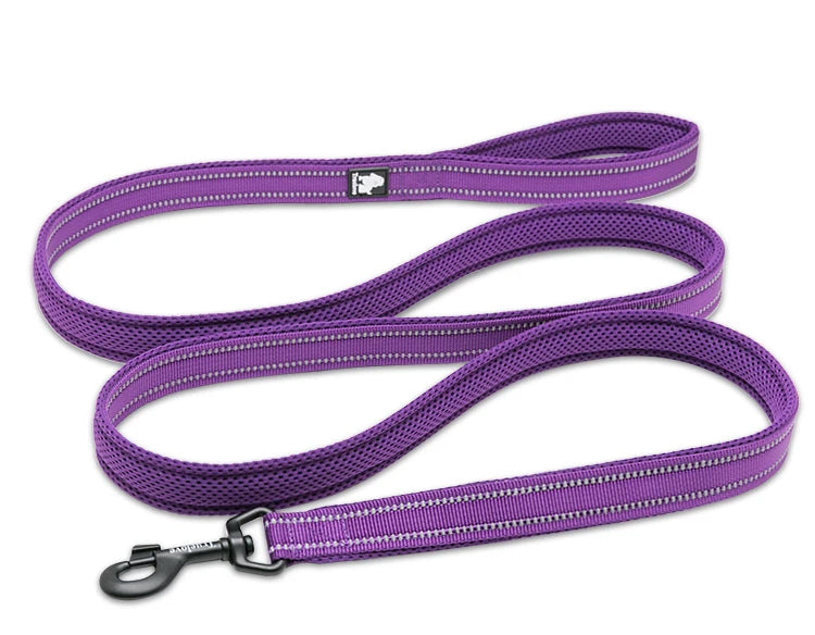 Winhyepet Nylon Dog Leash with Comfortable Padded Handle Heavy Duty Training Durable Pet Leash for Small Medium Large Dogs