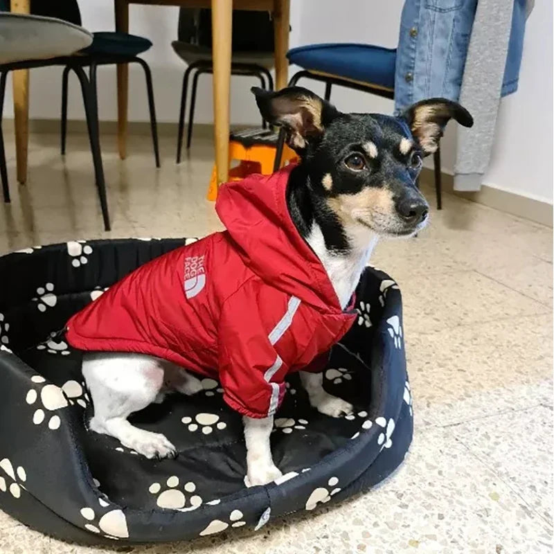 Pet Coat For Small Medium Dogs Waterproof Dogs Clothes Reflective Winter Warm Fleece Dog Jackets Puppy Raincoat Chihuahua Outfit