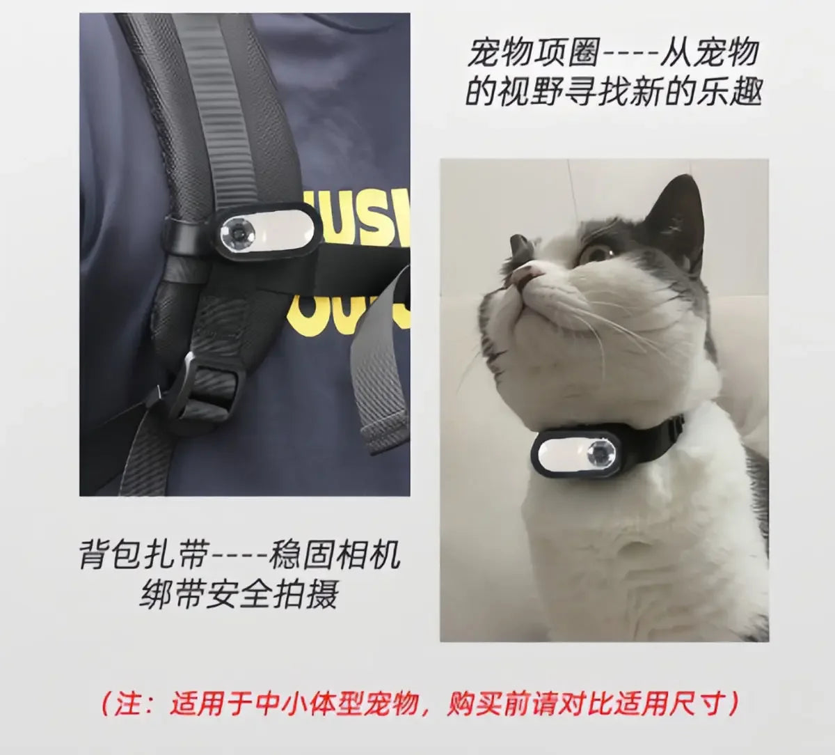 HD 1080P Wireless Collar Camera No WiFi Needed Dog Cat Pet Camera Collar Nanny Camera Video Records for Cats Dogs Birthday Gift