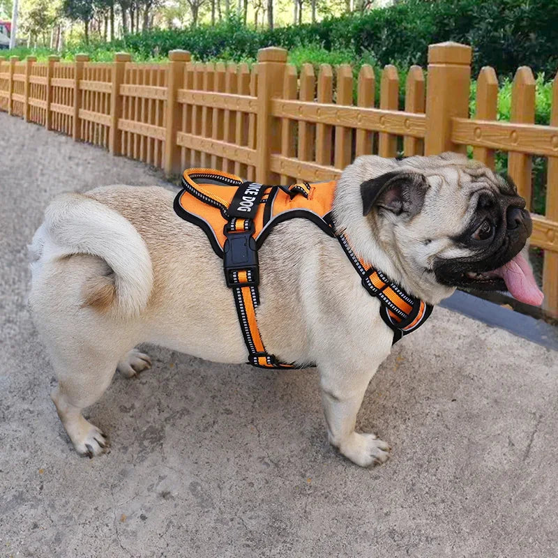 Nylon Dog Harness Vest