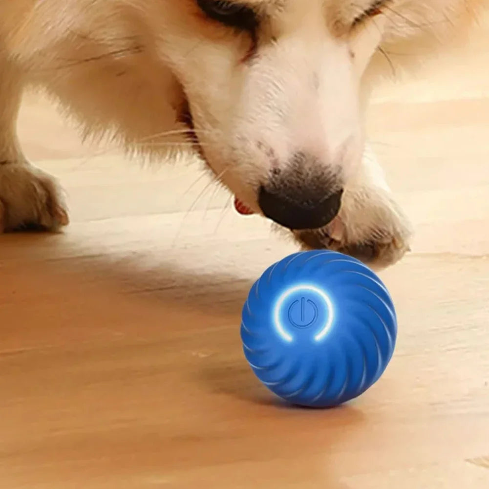 Electric Dog Ball Toys Smart Gravity Jump Moving Ball USB Rechargeable Automatic Rolling Ball For Cat Dog Interactive Pet Toy