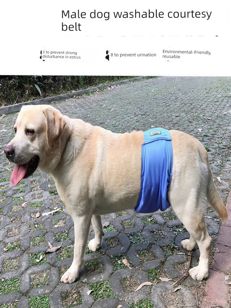 Male Dog Physical Pants Diaper Anti-Harassment Dog Diaper Pants Bellyband Teddy/Golden Retriever Waterproof Bottom Washable Underwear