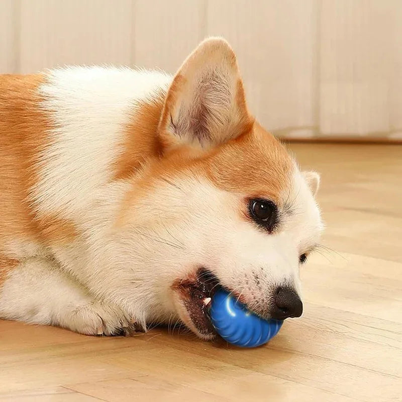 Electronic Smart Dog Ball Toy