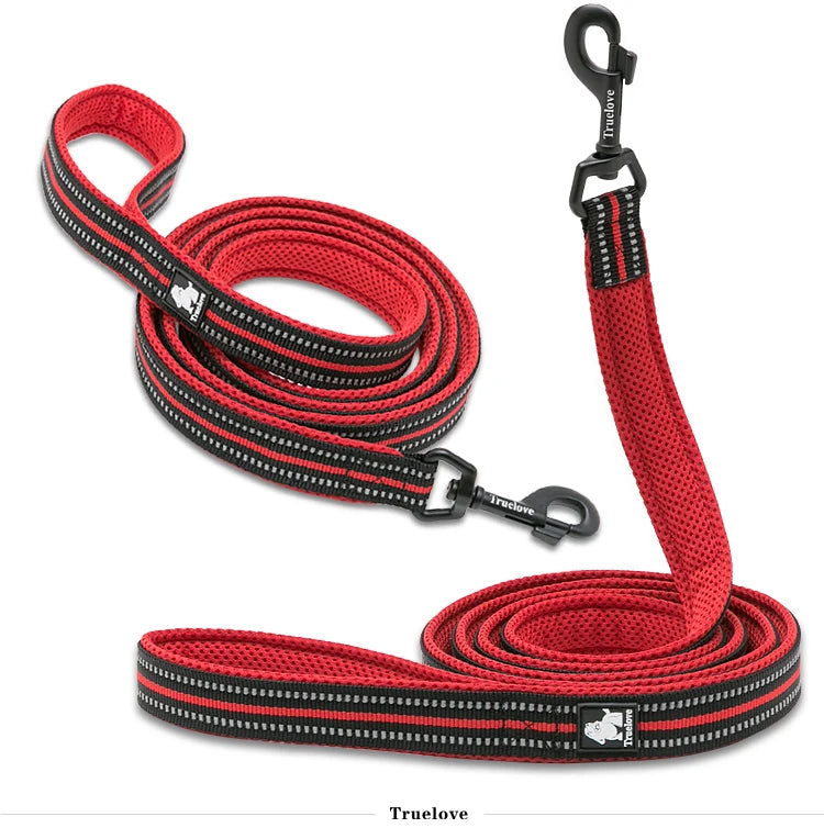 Winhyepet Nylon Dog Leash with Comfortable Padded Handle Heavy Duty Training Durable Pet Leash for Small Medium Large Dogs