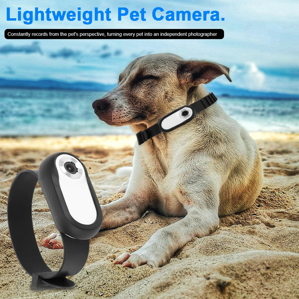 HD Smart Pet Camera Collar