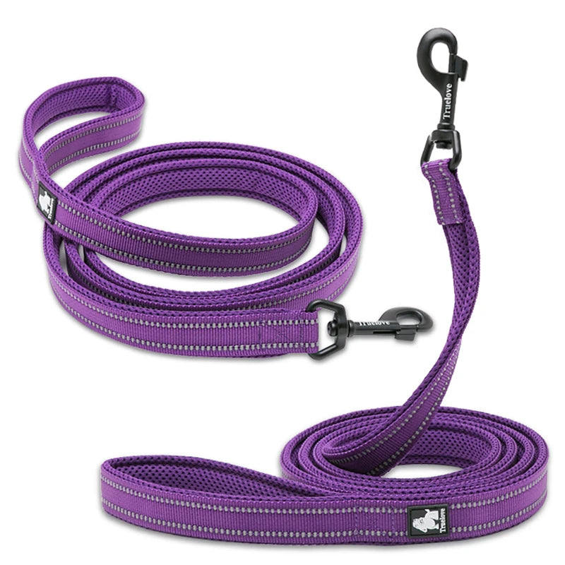 Winhyepet Nylon Dog Leash with Comfortable Padded Handle Heavy Duty Training Durable Pet Leash for Small Medium Large Dogs