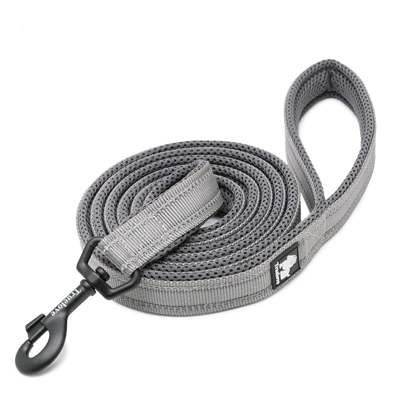 Winhyepet Nylon Dog Leash with Comfortable Padded Handle Heavy Duty Training Durable Pet Leash for Small Medium Large Dogs