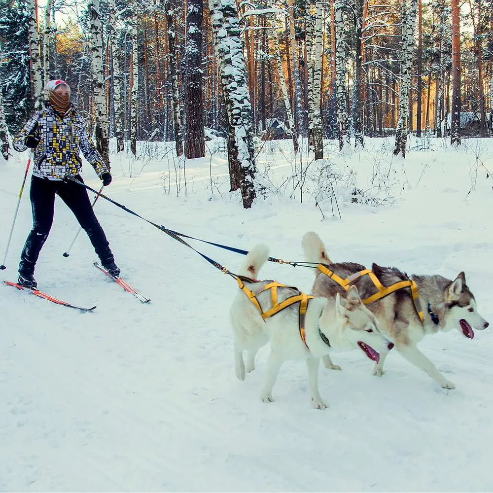 Dog Sled X Back Harness