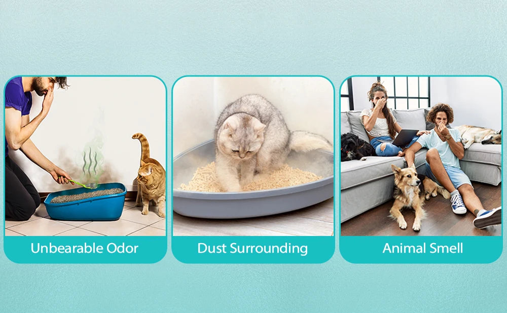 Smart Cat Odor Purifier