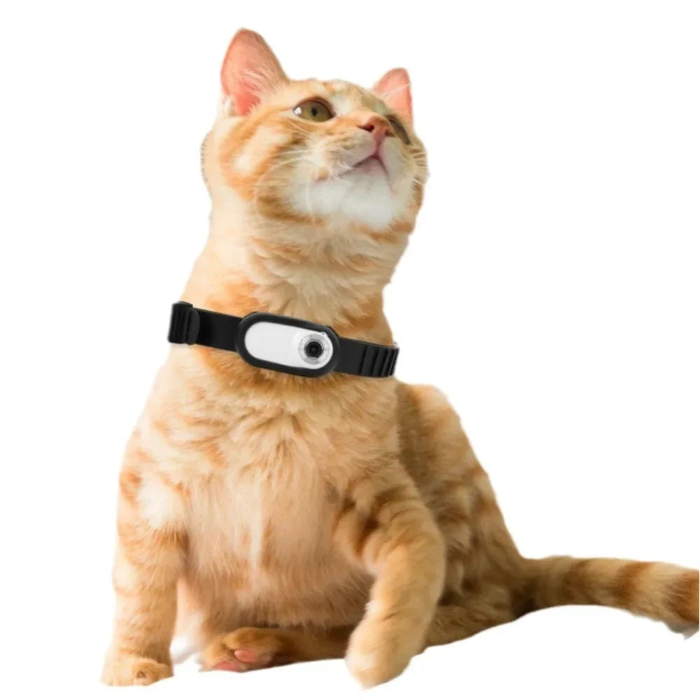 Portable Thumb Pet Camera HD 1080p Detachable Pet Recorder Anti-shake Cat and Dog View Camera Collar Outdoor Sports