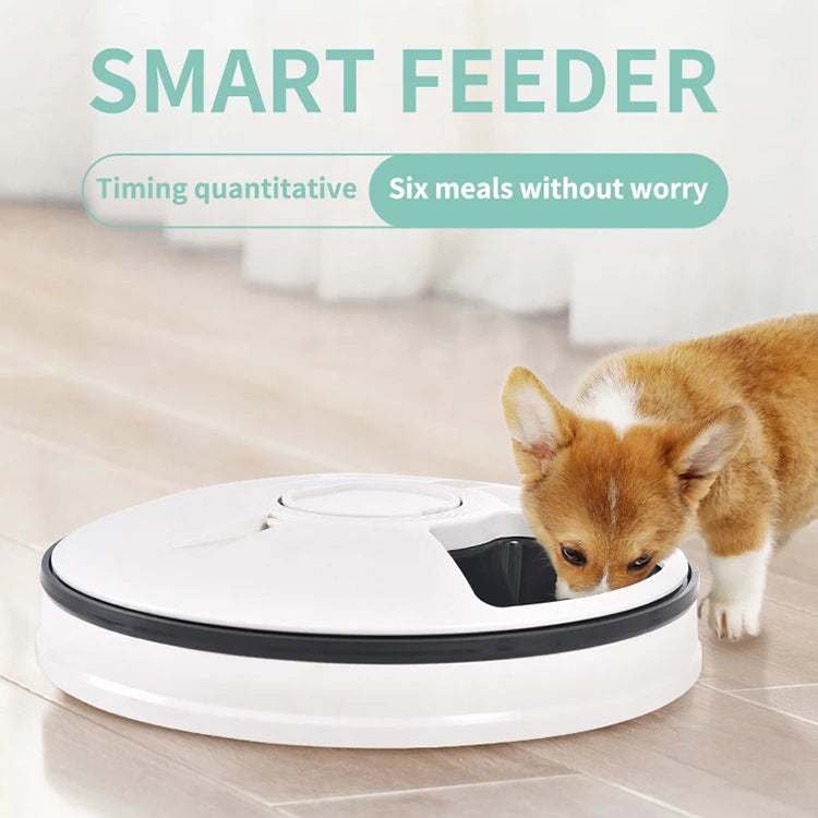 High Quality Fashion Design Microchip Pet Feeder 6 Separated Meal Trays Electric Cat Dog Food Bowl Automatic Pet Bowls & Feeders