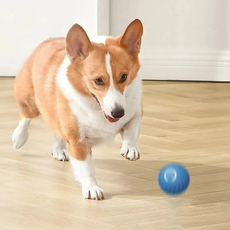 Electronic Smart Dog Ball Toy