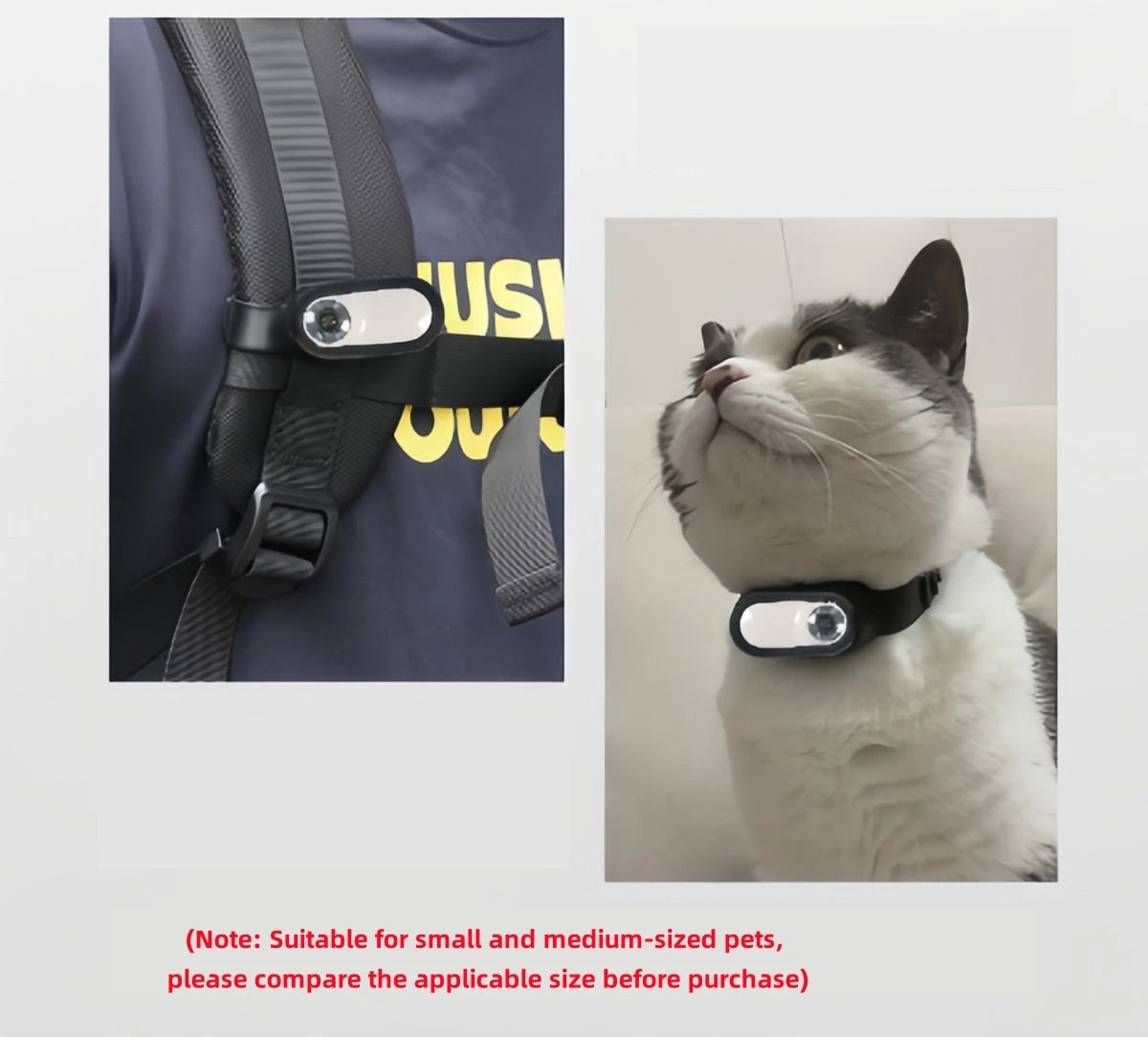 Pet Supplies Cat and Dog Collar Camera Outdoor Sports Camera Pet Recording