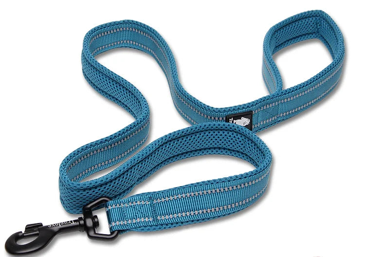 Winhyepet Nylon Dog Leash with Comfortable Padded Handle Heavy Duty Training Durable Pet Leash for Small Medium Large Dogs