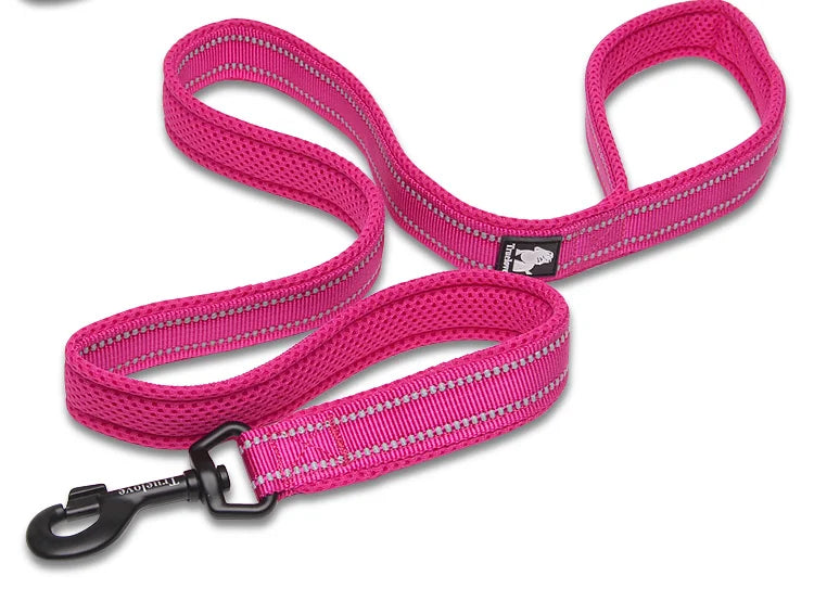 Winhyepet Nylon Dog Leash with Comfortable Padded Handle Heavy Duty Training Durable Pet Leash for Small Medium Large Dogs