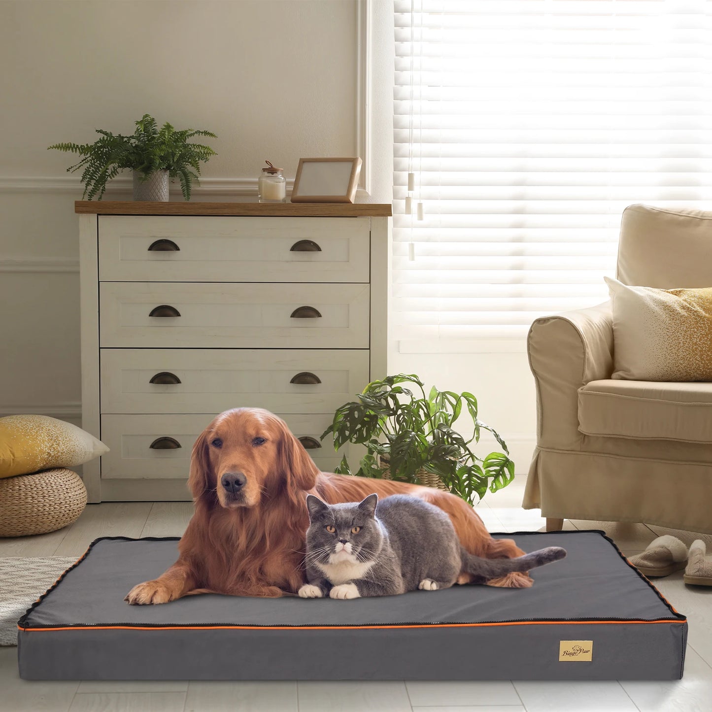 Dog Pet Bed  Large Padded Orthopedic Dog Bed Foam Cushion Pets Pillow Bed with Washable Cover