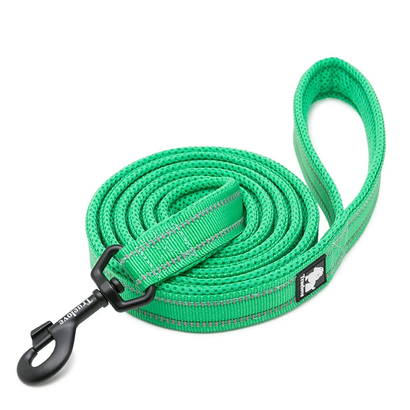 Winhyepet Nylon Dog Leash with Comfortable Padded Handle Heavy Duty Training Durable Pet Leash for Small Medium Large Dogs