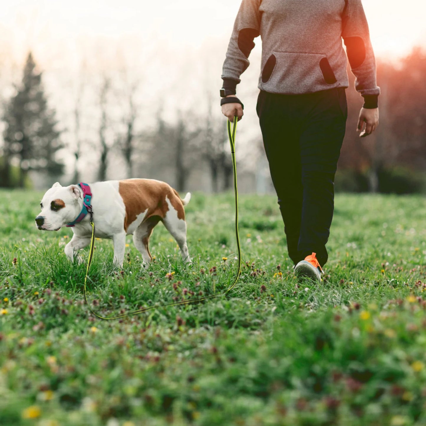 Walking Leashes for Big to Small Dogs