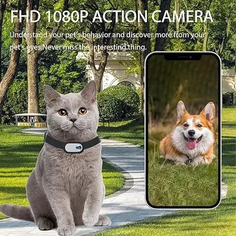 Pet Supplies Cat and Dog Collar Camera Outdoor Sports Camera Pet Recording