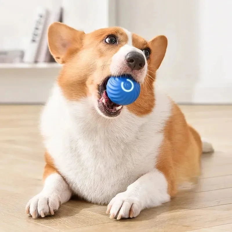 Electronic Smart Dog Ball Toy