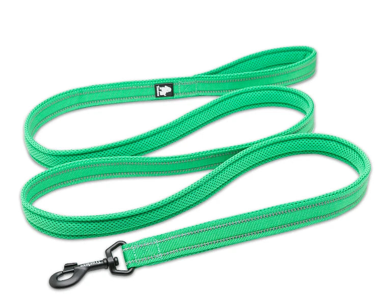 Winhyepet Nylon Dog Leash with Comfortable Padded Handle Heavy Duty Training Durable Pet Leash for Small Medium Large Dogs