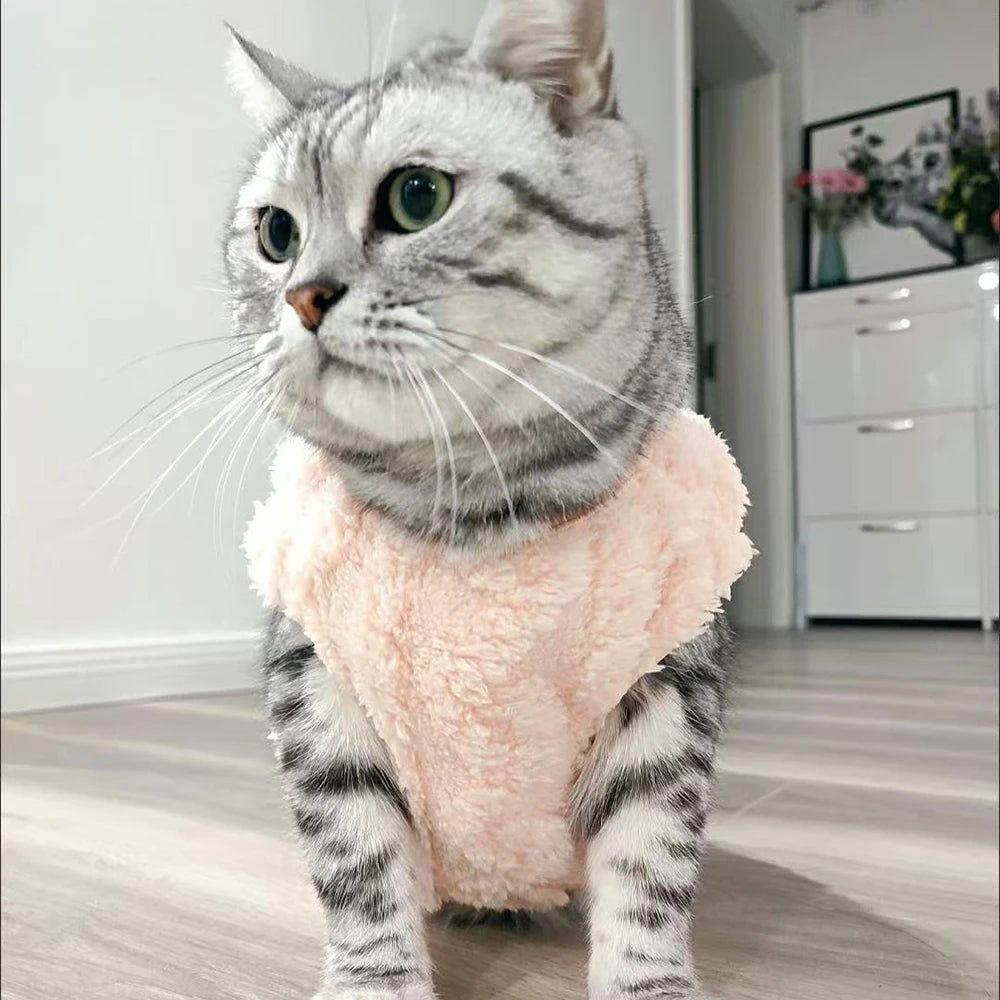 Soft Cat Clothes For Small Medium Dog Cats Sphynx Fleece Pullover Sweatshirt Autumn Winter Warm Puppy Kitten Coat Pet Costume